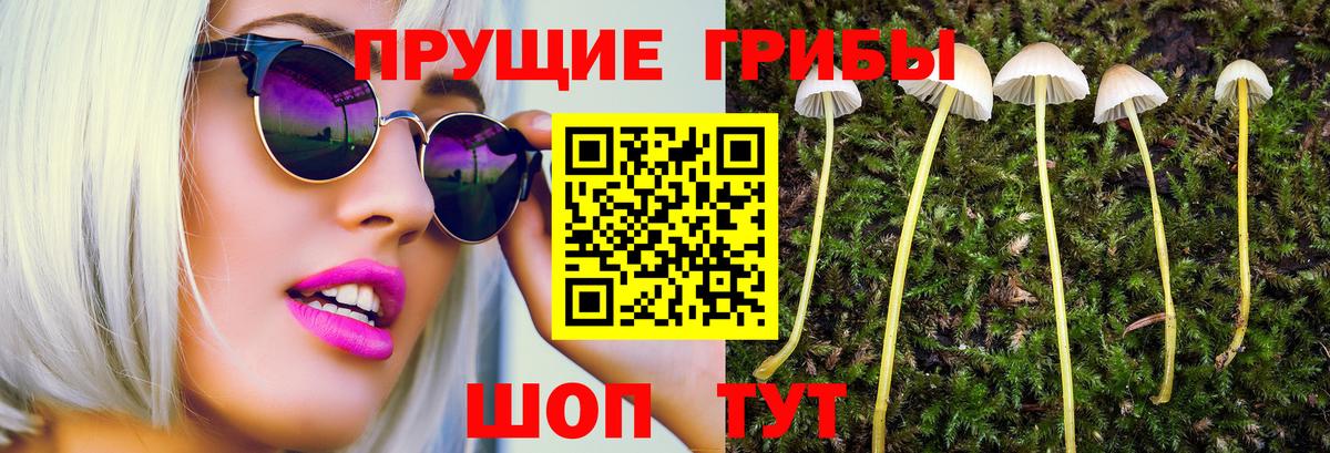Псилоцибиновые грибы мицелий  Псилоцибиновые грибы Magic Shrooms  Шали  Вход с VPN 